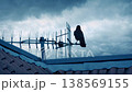 Bird Flies Off Roof In Stormy Weather 138569155