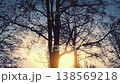 Sunset Behind Trees In Snowfall Pretty Nature Scene 138569218