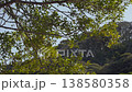 月桂樹枝在風中搖曳 138580358