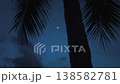 Tropical night sky with crescent moon framed by palm tree silhouette creates deep calm mood. Blue tropical night with palm trunk and moon fits travel background nature relaxation and cinematic scenes. 138582781