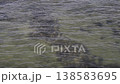 從海面望去，可以看到海岸邊的岩石和海藻。 138583695