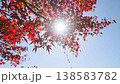 Autumn leaves and sun, blue sky 138583782