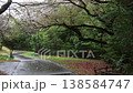 春日公園裡櫻花盛開,一條靜謐的步道蜿蜒而行。 春日公園裡櫻花盛開,一條靜謐的步道蜿蜒而行。 138584747