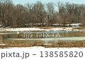 Swans and seagulls have arrived in the spring floodplain meadows. 138585820