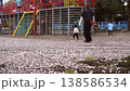 A slow-motion video of children playing energetically in a Japanese park, with cherry blossom petals covering the ground. 138586534