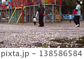 A scene of children and families playing in a park in springtime Japan, where the ground is covered with fallen cherry blossom petals. 138586584