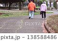 A senior couple strolls through a Japanese park as cherry blossoms fall. The man walks with a cane, and the woman, dressed in vibrant attire, is captured in slow motion. 138588486