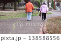 In the springtime of Japan, an elderly couple strolls affectionately through a park where cherry blossom petals have fallen. 138588556