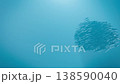Slow Motion Bait Ball Fish Swarm Sphere Underwater, 3D Ocean Concept Animation 138590040