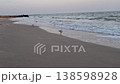 Seagulls on a sandy beach with sea waves. How organically the Black Sea gulls look on the surf line. 138598928