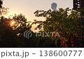 Buddha statue at sunset with red lanterns Tong Lam Son Temple Nha Trang Vietnam 138600777