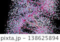 DNA molecule from glass crystals and pink are coming together. DNA has appearance, transparent on black background and green screen. can be used in science or medicine industry background. 3D Render. 138625894