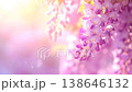 A fantastical looping video of wisteria blossoms swaying gently in soft light. 138646132