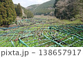 Wasabi fields in Ikadaba, Izu City, Shizuoka Prefecture 138657917