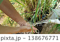 Wide shot of Hands wash under a running tap. Water splashes against muddy ground. Green grasses frame the scene. Nature blends with human activity. Ideal for themes of purity or daily life 138676771