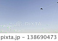 Computer Vision with Object Recognition Scanner Overlay. Big Data. CCTV AI Interface Scanning. Blob Tracking Lines, Coordinates, Bounding Boxes. Plexus style connections. Flying Birds 138690473