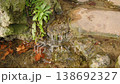 Little water cascade pouring down the rocks, picturesque scenery natural background for tourist destination design 138692327