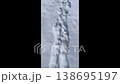 Winter fairytale landscape with footprints in the snow on a frosty day 138695197