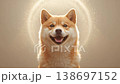 A Shiba Inu's smiling face enveloped in a halo of light, a soft image that evokes a welcoming atmosphere. 138697152
