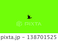 一隻飛鴨的剪影在綠幕背景下的動態動畫。 138701525
