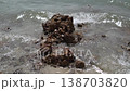 Serene Seaside With Vibrant Waves. Peaceful Shoreline Featuring Crashing Surf And Textured Rocks 138703820