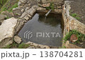A spring serving as a watering hole for domestic animals 138704281