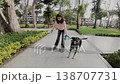Teen Girl on Rollerblades Walking Black Dog in Sunny Park 138707731