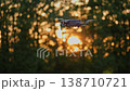 Drone hovers with sunlit forest background, then slowly descends out of frame 138710721