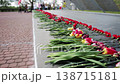 Long row of red carnation and tulip flowers laid on dark marble memorial monument during day, people walking in blurred background, solemn commemoration of war victims 138715181