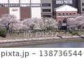 青空の下、満開の桜咲く神奈川県横浜市、みなとみらい地区の満開の桜とロープウェイと、桜を見に来た観光客 138736544