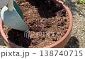 なす苗の植え付け　家庭菜園 138740715