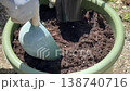 トマト苗の植え替え　家庭菜園 138740716