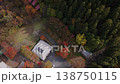 4K無人機空拍畫面，展現了秋色斑斕的森林。 138750115