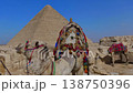 Decorated camels in front of Pyramid of Khafre at Giza plateau, Egypt. Colorful camel caravan with locals in sandy desert under vivid blue sky. Travel content. 138750396