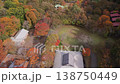 4K無人機空拍畫面，展現了秋色斑斕的森林。 138750449