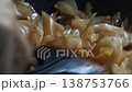 Thai Pad See Ew Stir-fried Flat Rice Noodles with Marinated Pork and Dark Soy Sauce on Home Stove 138753766