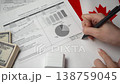 Accountant verifies detailed payment summary for international Canadian company reviewing inflows before securing paid stamp. 138759045