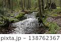 Forest river, dark green forest landscape 138762367