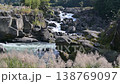 秋の曽木の滝 138769097