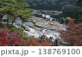 秋の曽木の滝 138769100