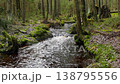 forest landscape with a winding river 138795556
