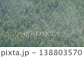 ヒノキ花粉の飛散 138803570
