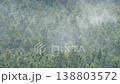 ヒノキ花粉の飛散 138803572