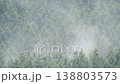 ヒノキ花粉の飛散 138803573