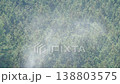 ヒノキ花粉の飛散 138803575