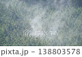 ヒノキ花粉の飛散 138803578