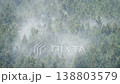 ヒノキ花粉の飛散 138803579