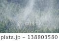 ヒノキ花粉の飛散 138803580