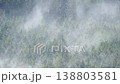 ヒノキ花粉の飛散 138803581