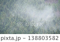 ヒノキ花粉の飛散 138803582